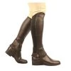 Saxon Equileather Half Chaps - Brown 1 Saxon Equileather Half Chaps - Brown -Equestrian Equipment 344161 800 800