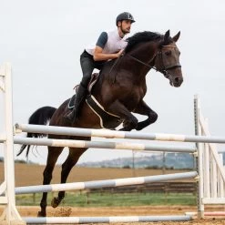 Horze Men's Grand Prix Full Seat Breeches - Black -Equestrian Equipment 382121 800 800