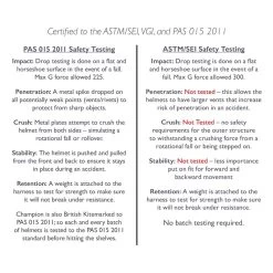 Champion Evolution Puissance Helmet - Black -Equestrian Equipment 401526 800 800