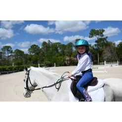 Ovation Metallic Schooler Helmet - Teal 7 Ovation Metallic Schooler Helmet - Teal -Equestrian Equipment 437976 800 800