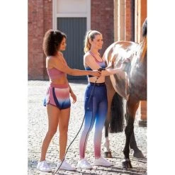 Shires Aubrion Women's Belgrave Shorts - Ombre -Equestrian Equipment 506810 800 800
