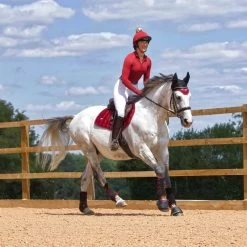 Woof Wear Women's Performance Quarter Zip Riding Shirt - Shiraz -Equestrian Equipment 516176 800 800