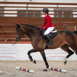 Cavalliera Women's Primetime Show Jacket - Ruby Red -Equestrian Equipment 559135 800 800