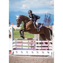 Kerrits Women's Stretch Competitor Koat 4 Snap - Black 12 Kerrits Women's Stretch Competitor Koat 4 Snap - Black -Equestrian Equipment 567655 800 800